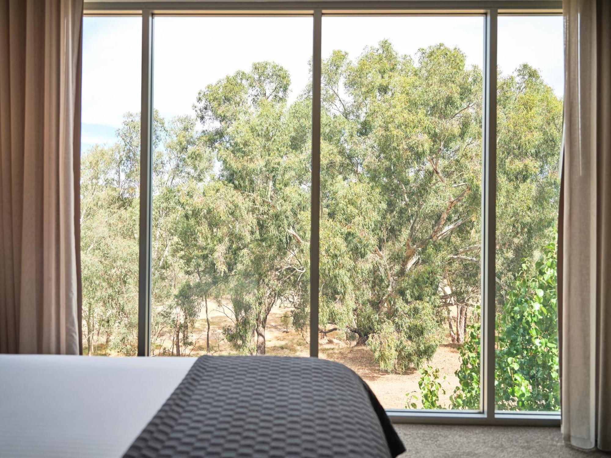 Maya Maya At Mandoon Estate West Swan Exterior foto A view of the Olive Grove from the bedroom
